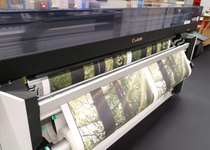 alenio Großformatdruck auf Canon Maschine – brillante Wald-Fototapete in Produktion